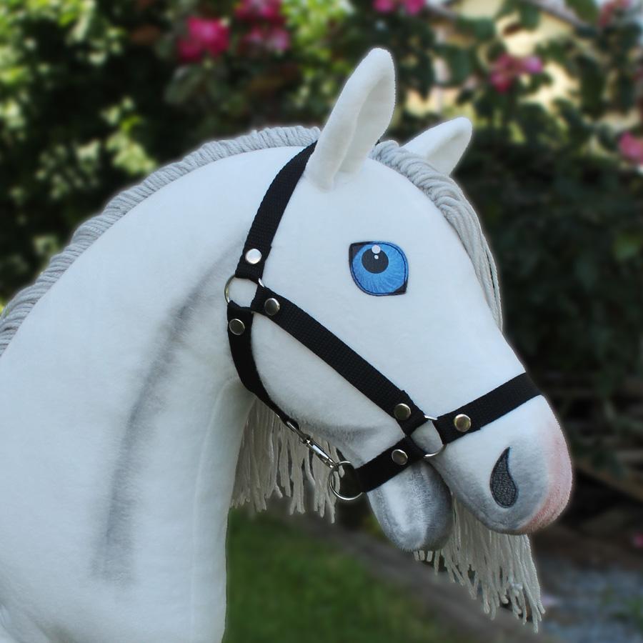 bílý hobby horse modré oči