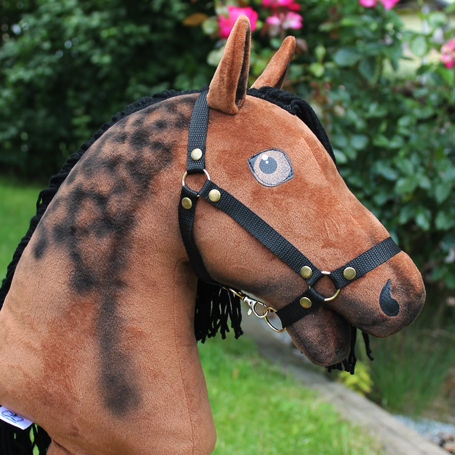 hnědý hobby horse anglický plnokrevník