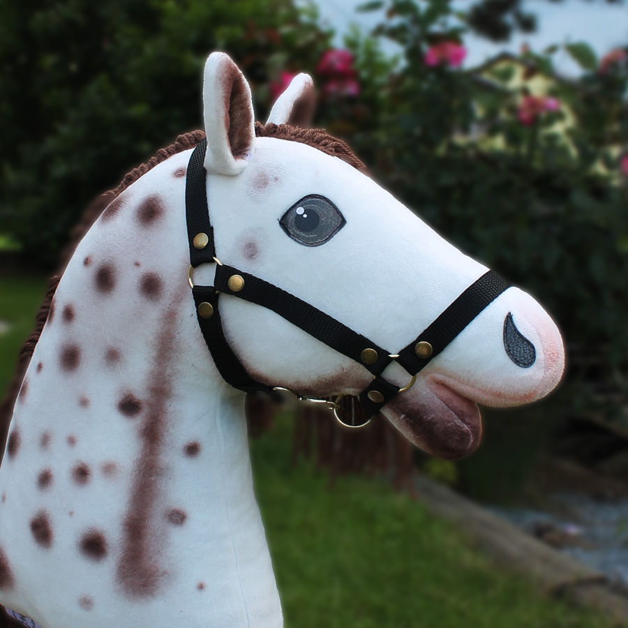 bílo hnědý hobby horse painting