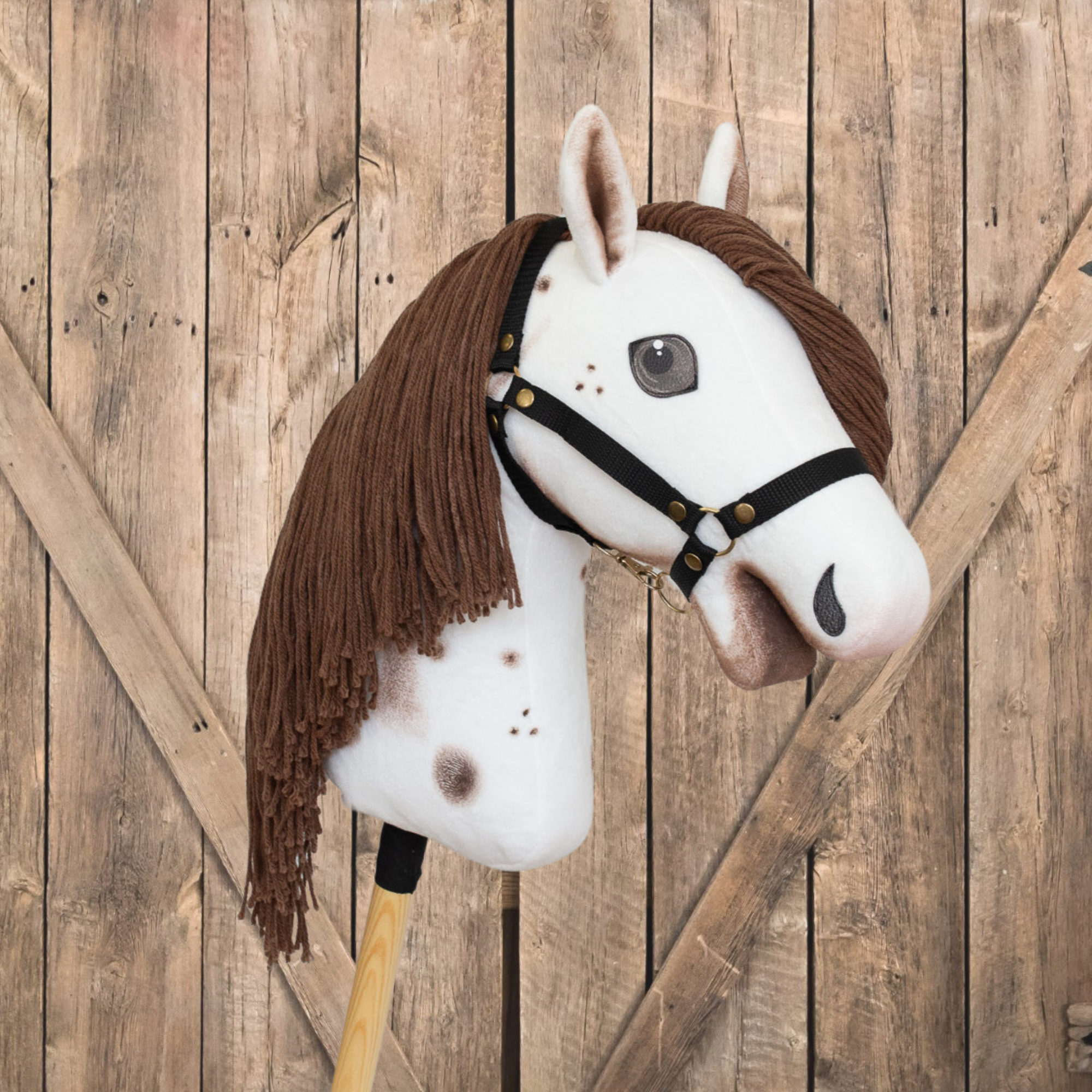 čokoládově bílý strakatý hobby horse