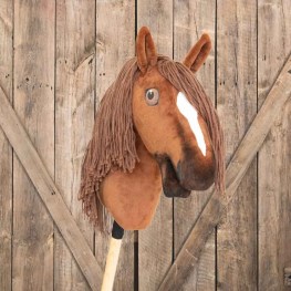hobbyhorse_hnedy_teodor