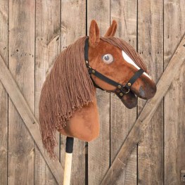 hobbyhorse_hnedy_teodor_s_ohlavkou