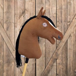 hobbyhorse_jacob.jpg