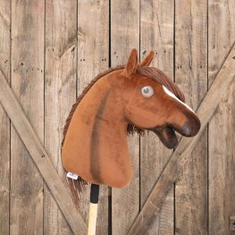 hobbyhorse_teodor