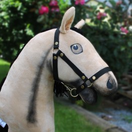 pmv044001_1