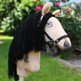 pmv044001_2