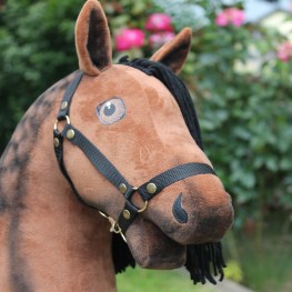 pmv064001_2