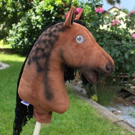 pmv064001_3