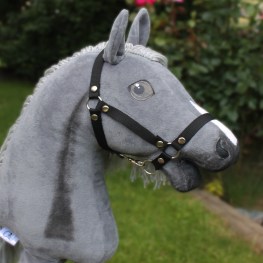 pmv0970030_1
