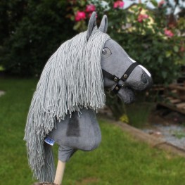 pmv0970030_4